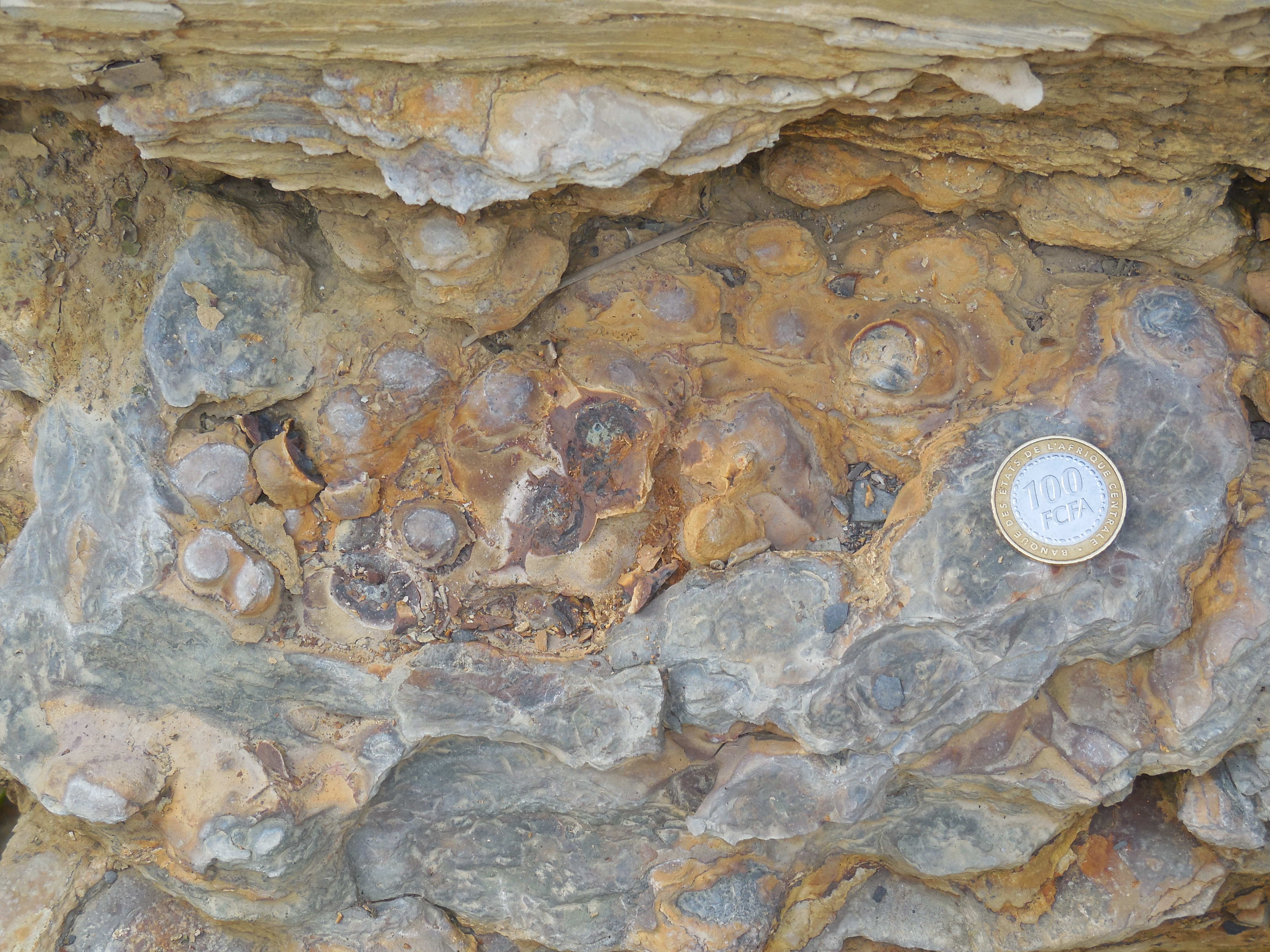 The Gabon and Oxygenation of Earth &ndash; Deep Early Earth Project 